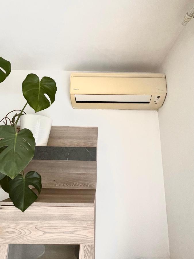 Antibes Home 2P 50M2 With Ac & Free Parking & 2 Balconies Dış mekan fotoğraf